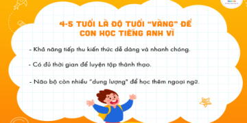 Học tiếng Anh vỡ lòng cho người lớn: Bí kíp học nhanh, nhớ lâu
