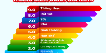 Phân loại các cấp độ tiếng Anh cho trẻ em chi tiết nhất
