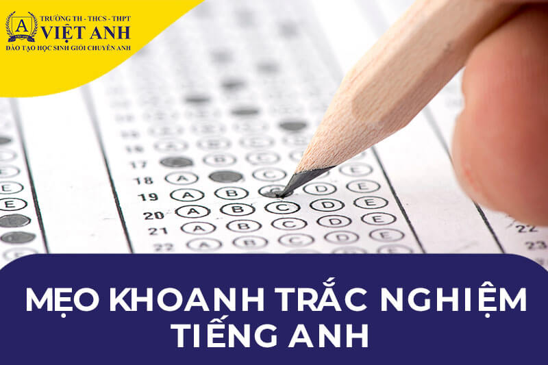 Bài kiểm tra tiếng Anh cho người lớn, bí kíp ôn luyện hiệu quả nhất!