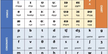 Tự học tiếng Anh cho người lớn mới bắt đầu thế nào (Hướng dẫn chi tiết)