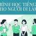 Chương trình học tiếng Anh online cho người lớn (Cách học hiệu quả nhất)