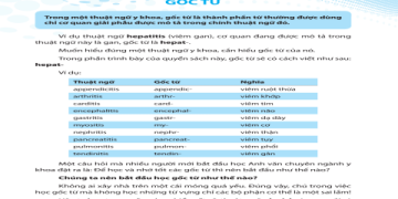 Làm thế nào để học thuật ngữ tiếng Anh trong nghiên cứu khoa học hiệu quả? Bí quyết đây!