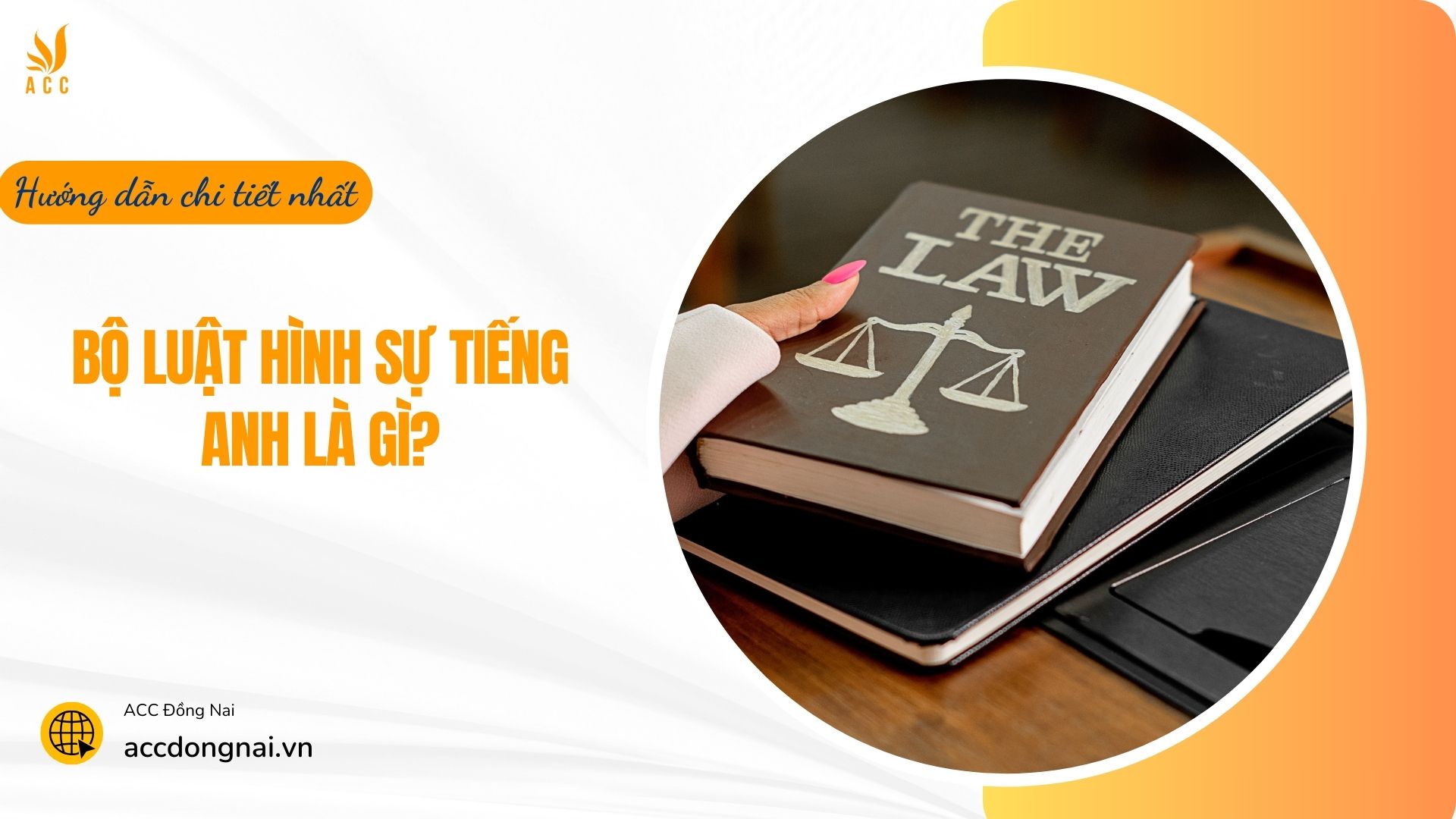 Truy cứu trách nhiệm hình sự tiếng Anh là gì? Giải thích chi tiết và dễ hiểu