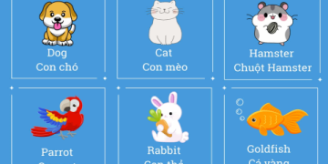 Làm thế nào để viết bài về bộ phim yêu thích bằng tiếng anh? Bí kíp đạt điểm cao!