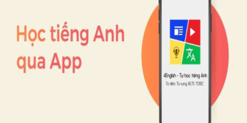 Học tiếng Anh cho người lớn: Kinh nghiệm & Lộ trình học chi tiết