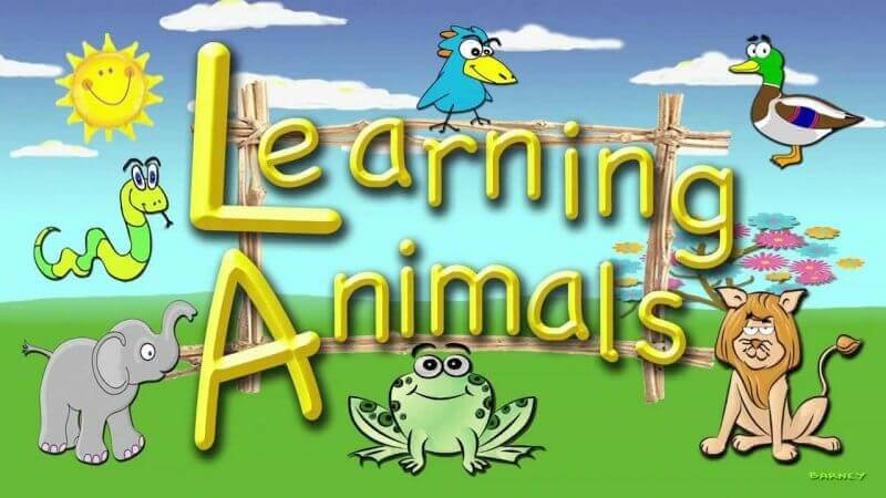 Tài liệu tiếng Anh cho trẻ em lớp 3, download miễn phí cho bé!
