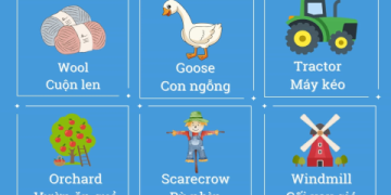 Các cuộc thi tiếng Anh cho trẻ em phổ biến nhất: Bố mẹ đã biết chưa?