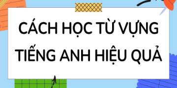 Học tiếng Anh từ số 0: Lộ trình học tiếng Anh cho người mới bắt đầu siêu tốc
