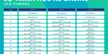 Học tiếng Anh vỡ lòng cho người lớn tuổi: Tài liệu và lộ trình học hiệu quả nhất!