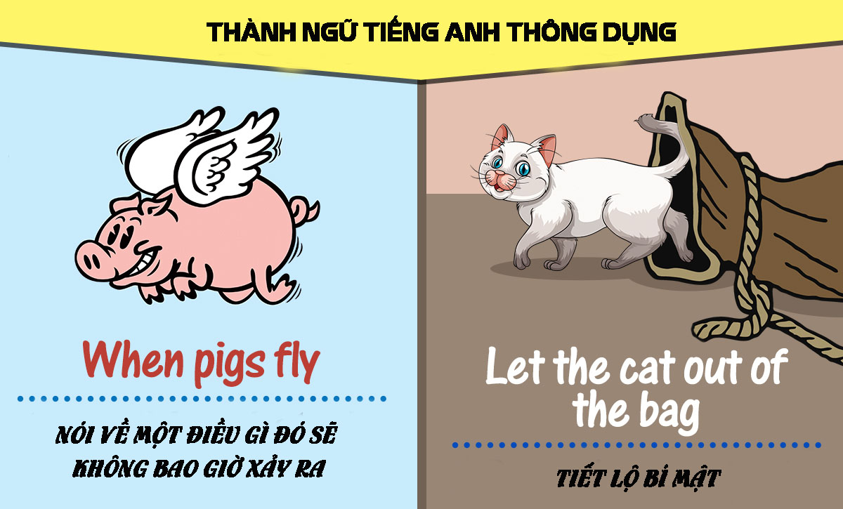 Học ngay! Những câu thành ngữ thông dụng trong tiếng Anh (Dễ nhớ, dễ áp dụng)