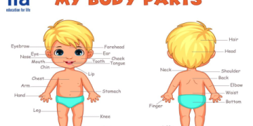 Tài liệu tiếng Anh giao tiếp cơ bản cho trẻ em: Sách, bài hát, video miễn phí!