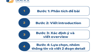 Bài mẫu miêu tả biểu đồ đường bằng tiếng anh: Bí kíp đạt điểm cao