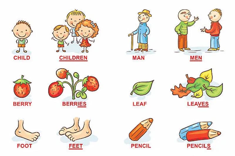 Hướng dẫn cách sử dụng danh từ số nhiều trong tiếng anh (Ví dụ minh họa)