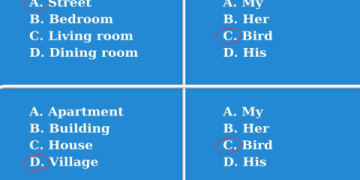 Thực hành ngay bài tập viết câu từ tiếng Việt sang tiếng Anh: Nâng cao trình độ tiếng Anh của bạn.