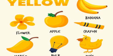 Tiếng Anh cho trẻ em mẫu giáo: Bí quyết giúp bé học vui, nhớ lâu!