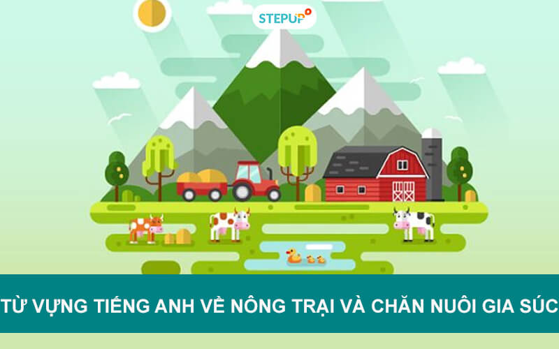 Trang trải cuộc sống tiếng Anh là gì? (Giải nghĩa siêu dễ hiểu)