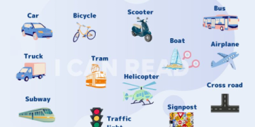 Clip tiếng Anh cho trẻ em theo chủ đề: Bé học từ vựng và giao tiếp dễ dàng hơn!