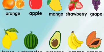 Trang trải cuộc sống tiếng Anh là gì? (Giải nghĩa siêu dễ hiểu)