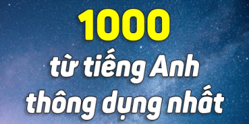 Học lại tiếng Anh từ đầu: Tổng hợp từ vựng cơ bản cho người mất gốc.