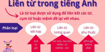 Tính từ đứng trước danh từ tiếng Anh (Hướng dẫn đầy đủ)