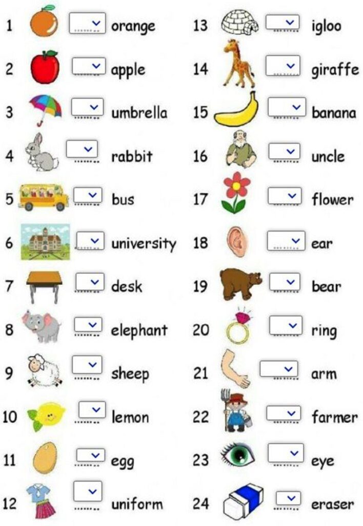 Bài tập tiếng Anh cho trẻ em từ cơ bản đến nâng cao (Phù hợp mọi lứa tuổi)