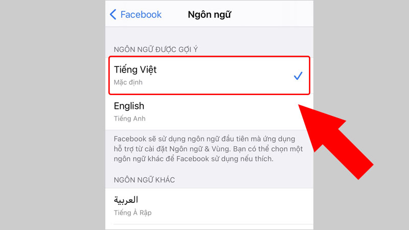 Dịch Facebook từ tiếng Anh sang tiếng Việt không cần phần mềm: Có thể không?