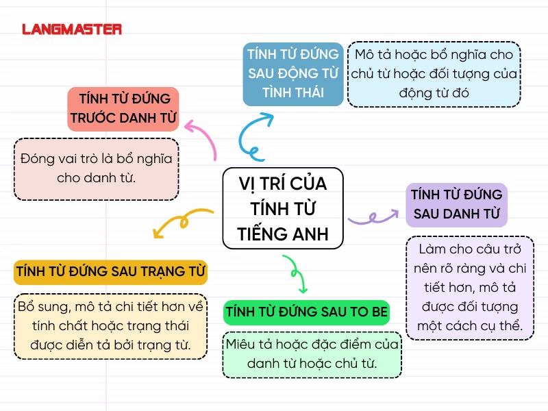 Tính từ đứng trước danh từ tiếng Anh (Hướng dẫn đầy đủ)