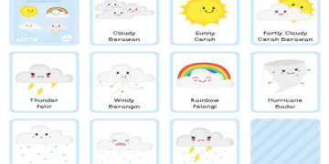 Download bài tập tiếng Anh theo chủ đề cho trẻ em (Kèm đáp án chi tiết)