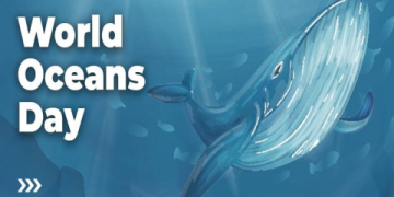 Các đại dương trên thế giới bằng tiếng Anh: Tìm hiểu ngay để giỏi địa lý!