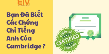 Bé mấy tuổi học chứng chỉ tiếng Anh cho trẻ em là phù hợp?