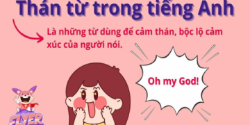 Muốn hiểu rõ chức năng của các loại từ trong tiếng Anh? Đọc bài này là hiểu ngay tức thì!