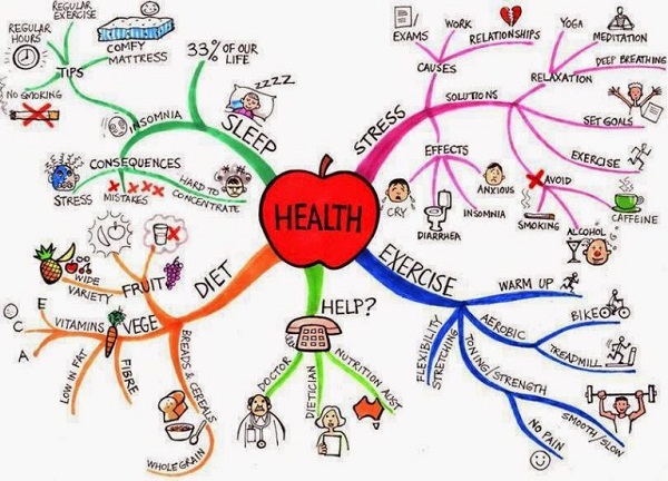 Cách học từ vựng tiếng anh lớp 9 siêu tốc? Bí quyết nhớ lâu không cần học vẹt.