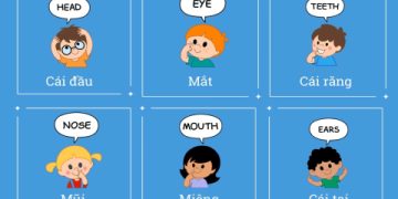 Tôi muốn dịch từ tiếng việt sang tiếng anh nhanh nhất? Xem ngay hướng dẫn này!