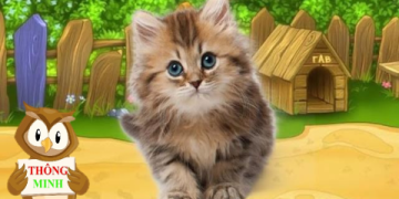 Mẹo dạy bé nhớ tháng 1 tiếng Anh và các tháng khác cực nhanh và vui.