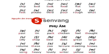 Hướng dẫn dịch tiếng anh sang tiếng việt có phiên âm cho người mới bắt đầu học.