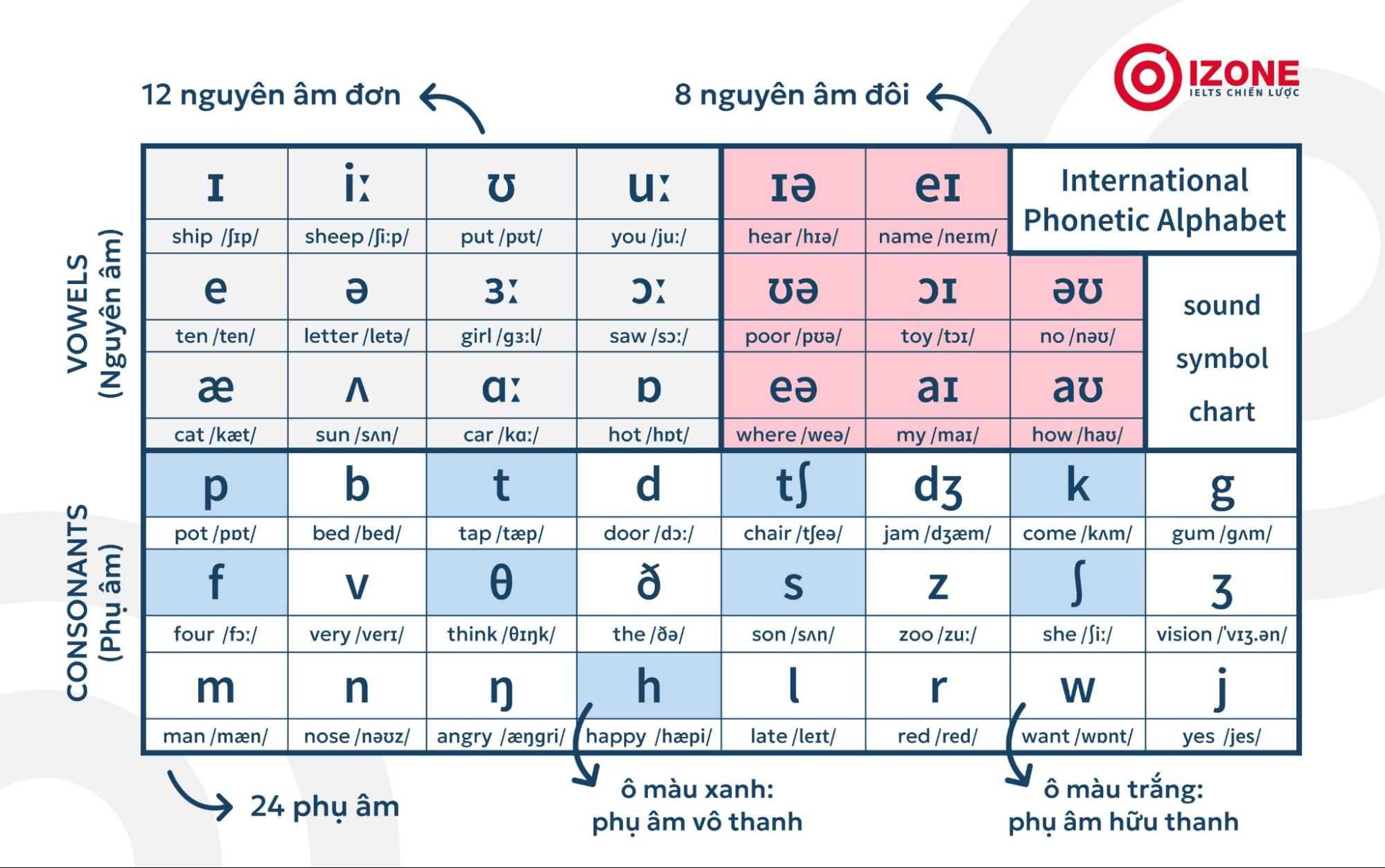 Hướng dẫn dịch tiếng anh sang tiếng việt có phiên âm cho người mới bắt đầu học.