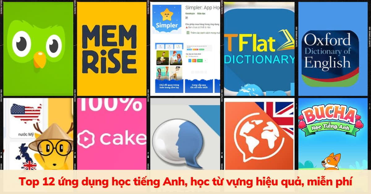 Cách tải phần mềm học tiếng Anh lớp 6 miễn phí cho người mới