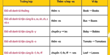 Lỗi sai thường gặp với danh từ số ít và số nhiều trong tiếng Anh và cách khắc phục.