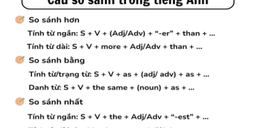 Tìm hiểu giáo dục công dân trong tiếng Anh là gì dễ nhớ và đúng chuẩn!
