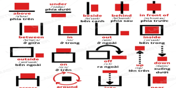 Bài test tiếng anh cho người mới bắt đầu nào tốt? Top 3 bài test bạn nên thử ngay.