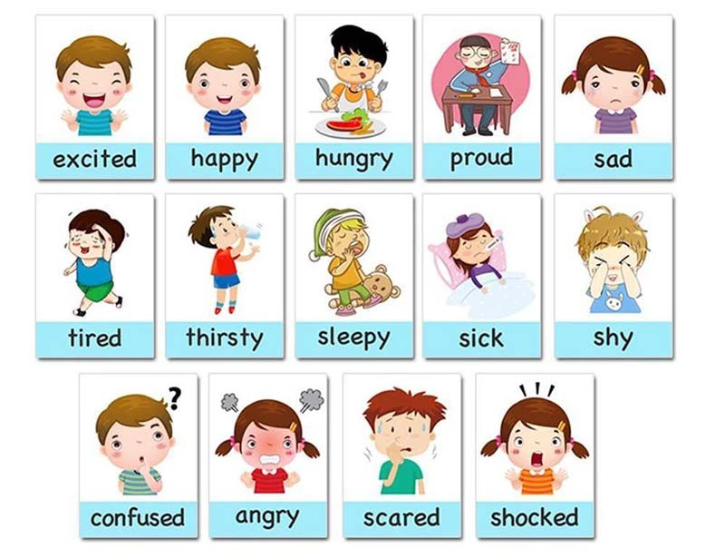 Flashcard học từ vựng tiếng Anh cho trẻ em: Mua loại nào tốt và rẻ cho bé yêu?