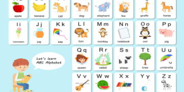 Flashcard học từ vựng tiếng Anh cho trẻ em: Mua loại nào tốt và rẻ cho bé yêu?