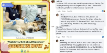 những câu giao tiếp tiếng anh hằng ngày ngắn gọn giúp bạn level up nhanh chóng