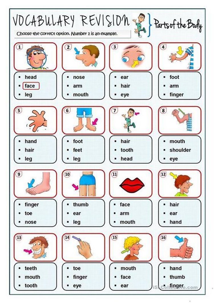Tổng hợp cách dạy tiếng Anh cho trẻ em lớp 1 dễ hiểu (Kèm trò chơi bé nào cũng mê tít)