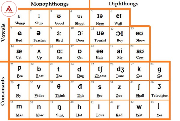 Cách phiên âm tiếng anh sang tiếng việt tốt nhất giúp bạn nói chuẩn như người bản xứ