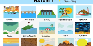 Làm sao học từ vựng tiếng Anh nhanh nhớ lâu? Xem ngay!