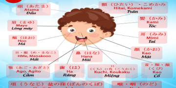 Cách học tiếng Anh nhanh nhất và hiệu quả (Học ít mà hiểu nhiều, nhớ cực lâu)