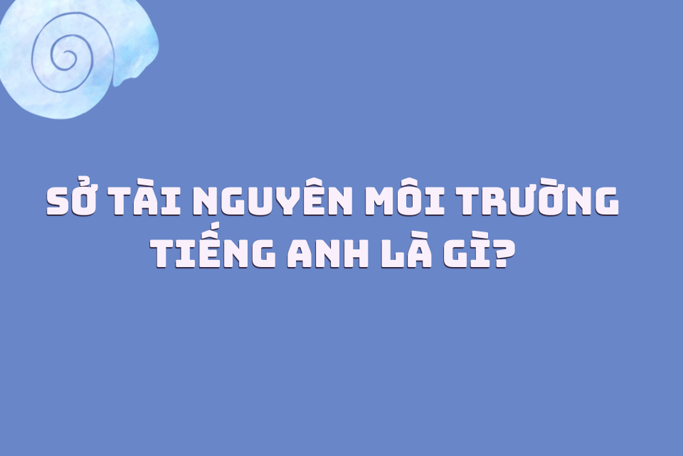 Tìm hiểu sở tài nguyên môi trường tiếng anh là gì? Thông tin bạn cần biết ngay.