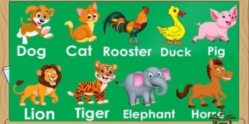 Dạy từ vựng tiếng Anh cho trẻ em sao cho hiệu quả? Nắm ngay bí quyết này.