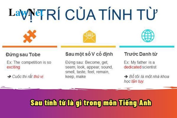 Sau tính từ là từ loại gì trong tiếng Anh? Khám phá bí quyết giúp viết câu tiếng Anh chuẩn hơn nhiều.